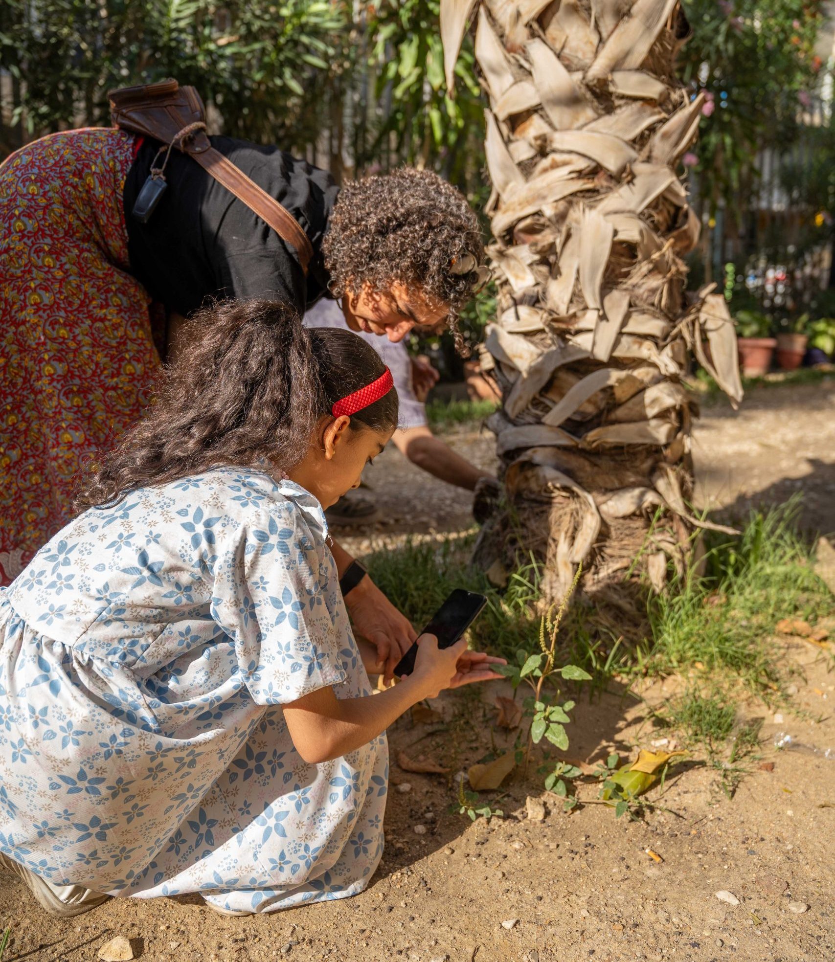 Two people are crouched down pointing their phone at a plant.