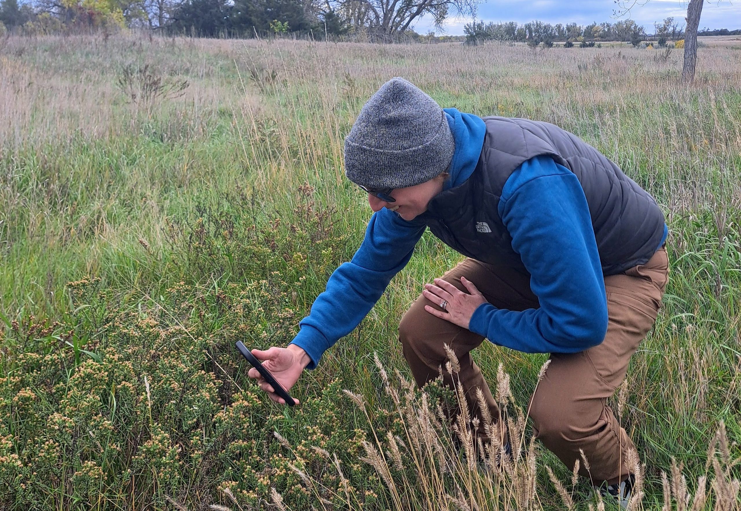 A person wearing a hat and sunglasses, positioning their phone close to grasses to take a photo.